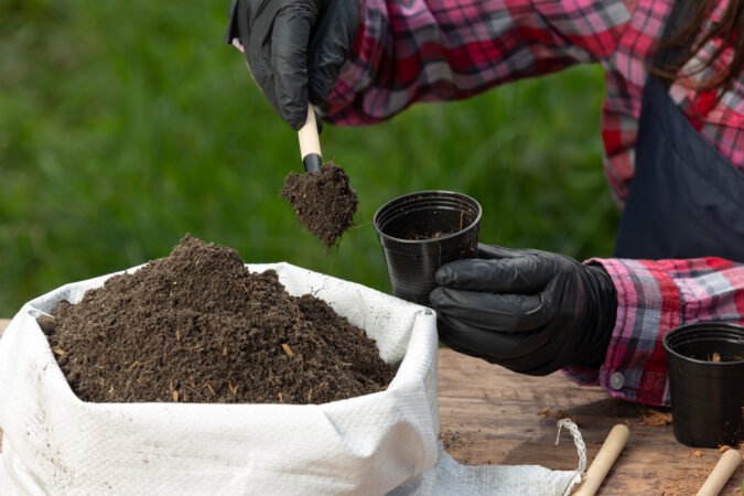 Soil Restoration