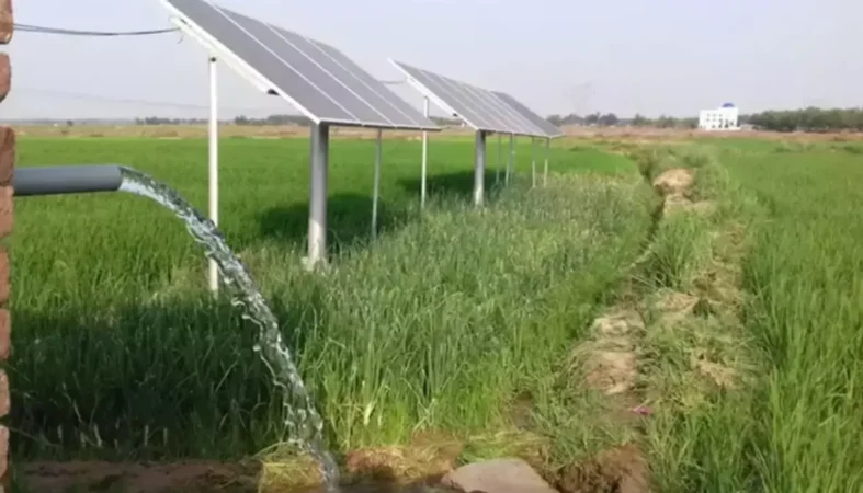 Punjab-Energy-Development